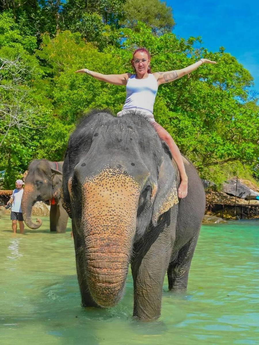Take Photo & Ride Elephant on the Beach 15 minutes + SIC Transfer (Include Entrance Fee) — image 2