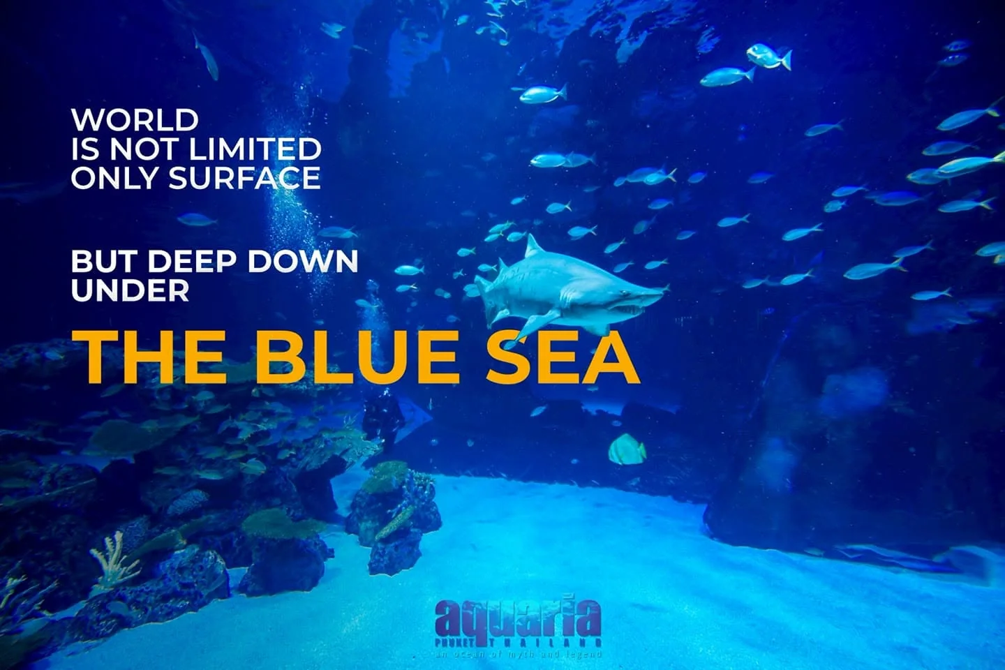 Aquaria Phuket (Underwater) + MAYA Media Art Museum Combo - (Worldwide Market) — image 6