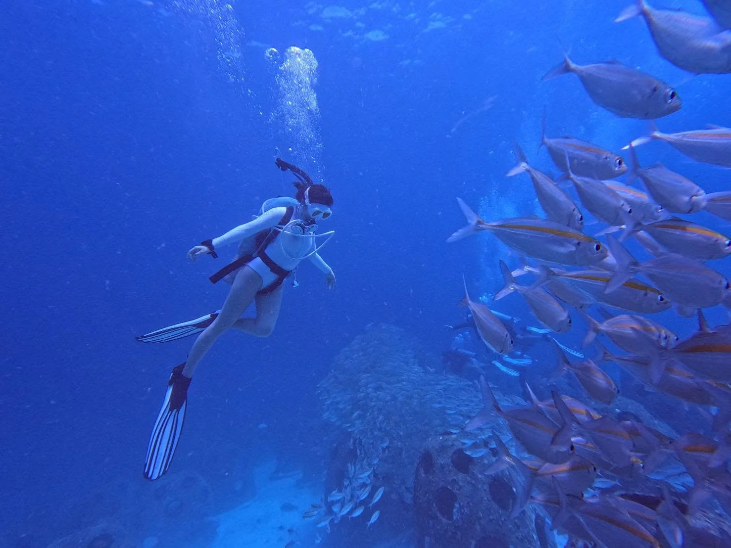 Scuba Diving (Racha Yai Island) - 1  Full Day Trip (For Non Diver) — image 16