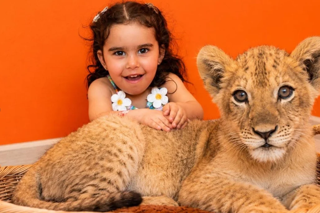Lion Land Phuket - (Baby Lion) — image 5